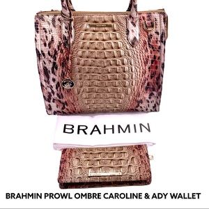 BRAHMIN PROWL OMBRE CAROLINE & ADY WALLET